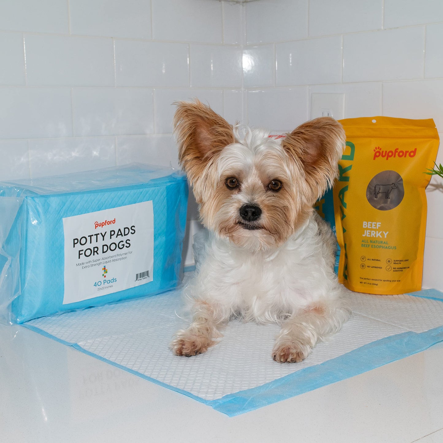 Pupford Potty Pads for Dogs & Puppies – Leak-Proof Pet Potty Training Pads | 40 Count | Heavy-Duty, Thick, Disposable, Made with Super Absorbent Polymer | 22x22 in