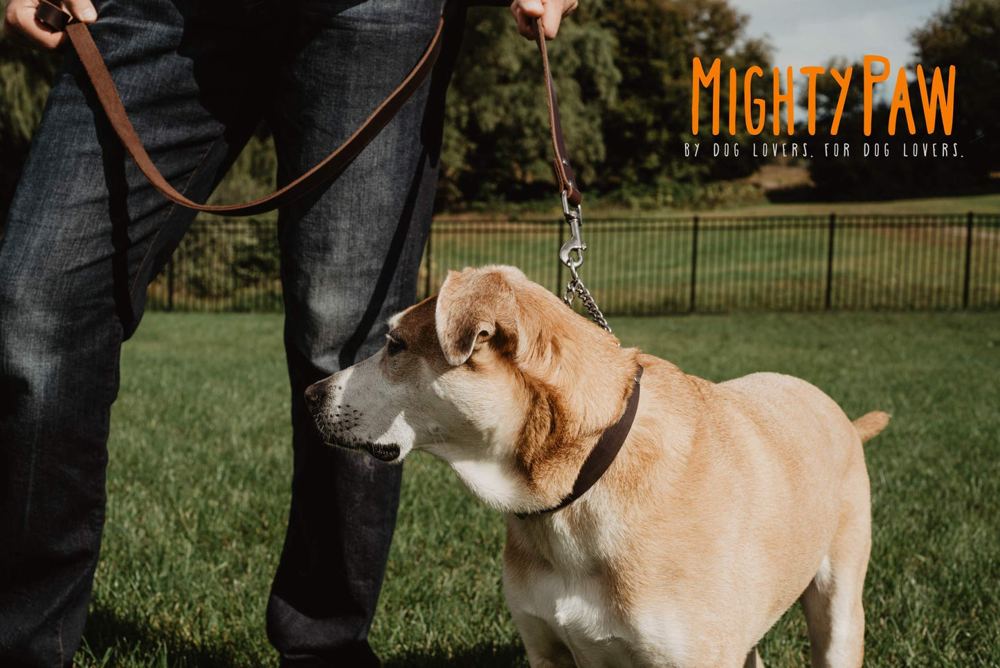 Mighty Paw Martingale Dog Collar - No Pull Design - Stainless Steel Chain - Limited Chain Cinch Training - Brown Leather Martingale Training Collar - Small Size