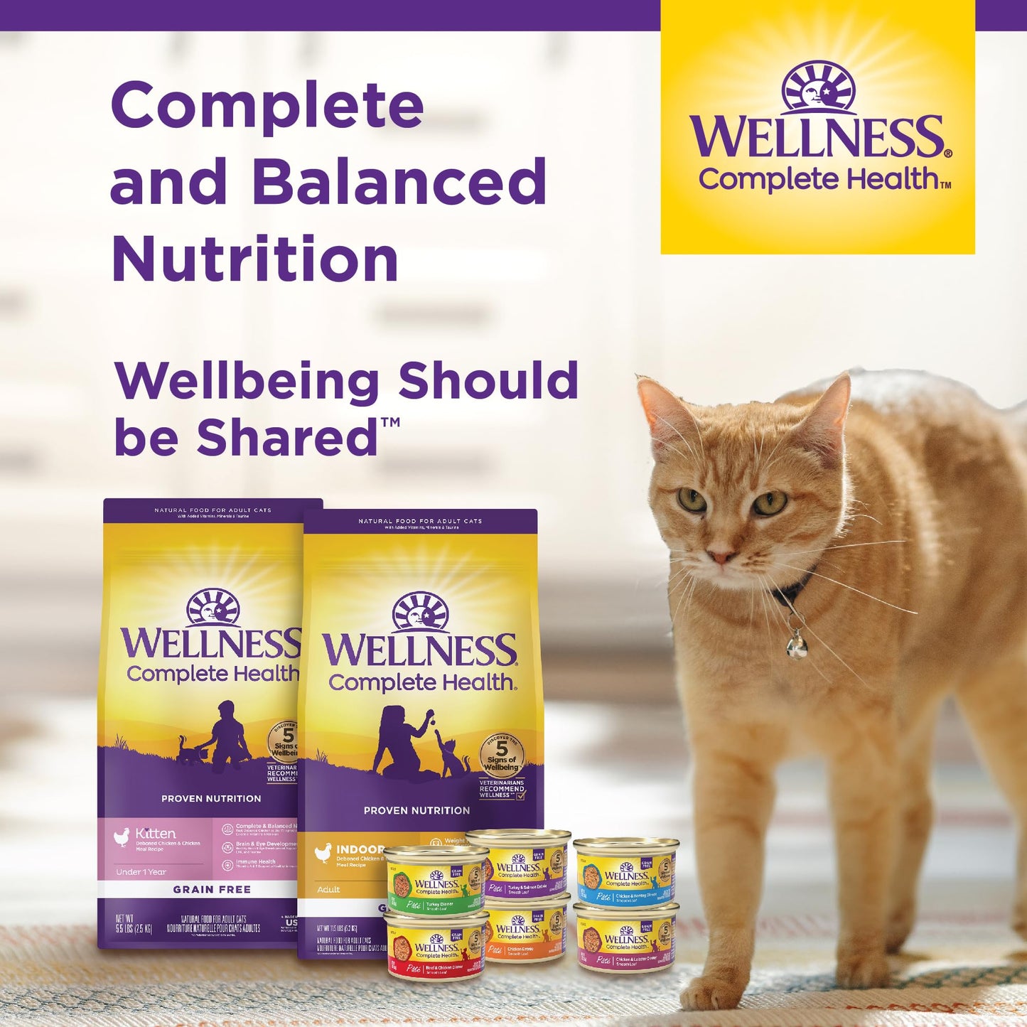 Wellness Complete Health Pate Adult Wet Cat Food, Natural, Protein-Rich, Grain Free, 5.5 Ounce, 24 Pack, (Turkey)