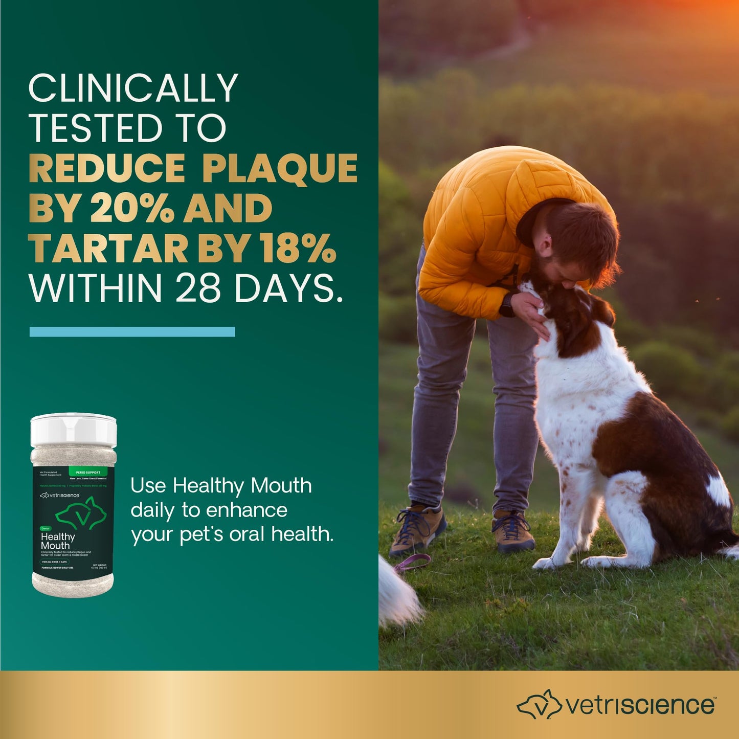 VetriScience Healthy Mouth Dog Dental Powder, Perio Support Clinically Tested Dental Powder for Dogs and Cats, Freshen Breath, Control Plaque & Tartar, Oral Health, 4.2 oz