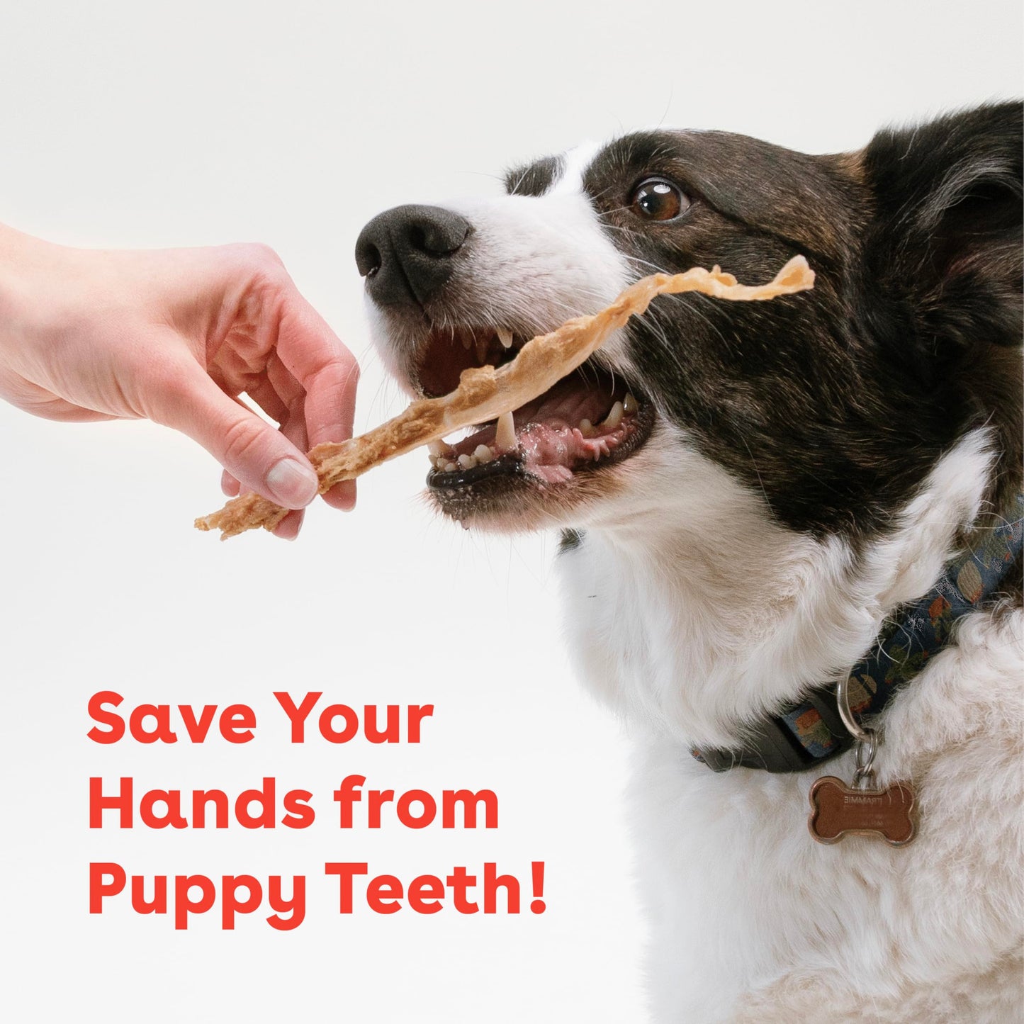 Pupford Turkey Tendon Dog Treats, High-Protein Chews for Healthy Teeth & Joints, Single Ingredient, Grain-Free, Made in USA (2.5 oz)