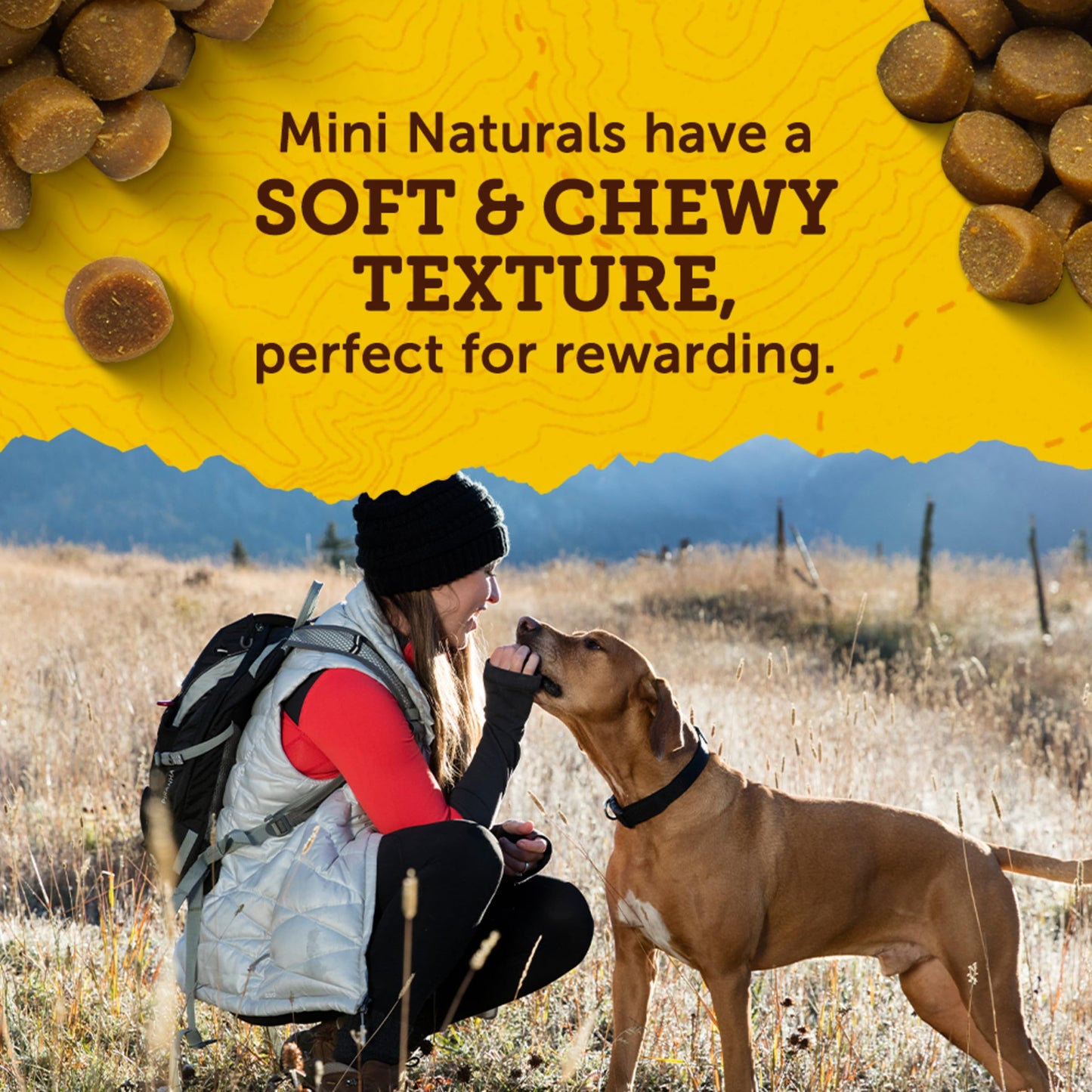 Zuke’s Mini Naturals Dog Training Treats for Dogs of All the Sizes, Pet Treats made with Real Peanut Butter, 16 oz. Resealable Pouch - 16 oz. Bag