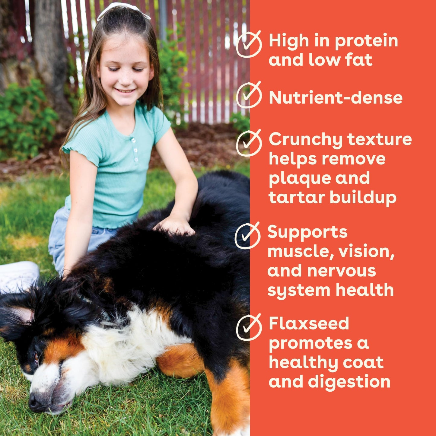 Pupford Crunchies, All-Natural, Healthy, Freeze Dried Treat for Dogs & Puppies (Chicken & Sweet Potato, 5 oz)
