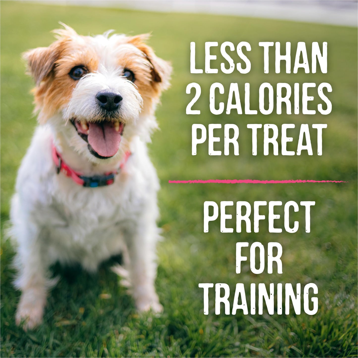 Merrick Lil’ Plates Grain Free Small Dog Treats, Natural Training Treats For Small Dogs, Lil’ Chunky Chicken - 5 oz. Pouch