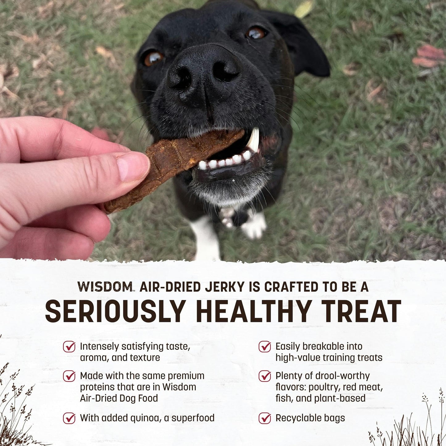 Earth Animal Wisdom Air-Dried Jerky From the Land Recipe | Dog Treats | Dog Snacks | Premium Natural Red Meat Jerky Strips | 4 oz | Made in the USA (Pack of 1)