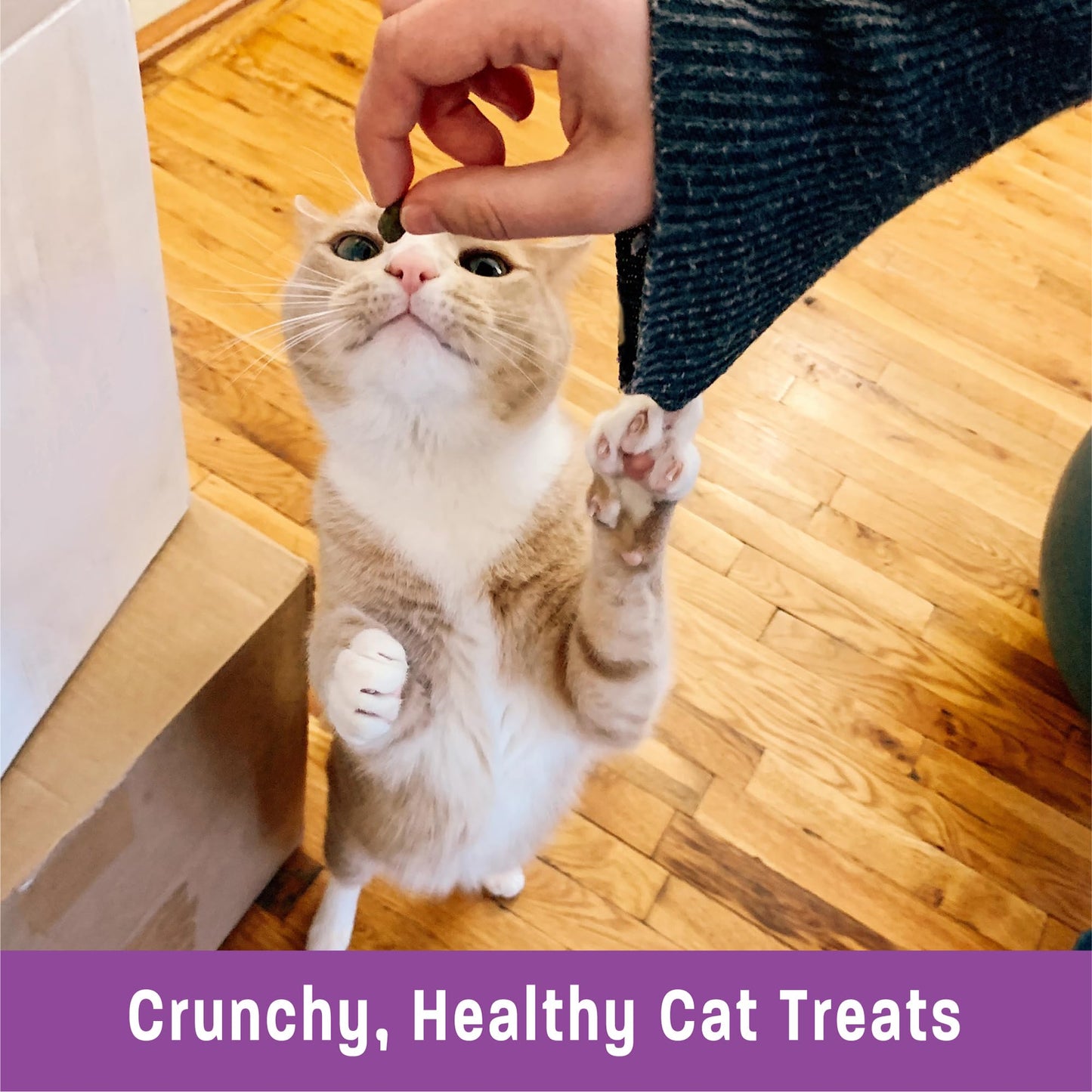 Wellness Kittles Crunchy Natural Grain Free Cat Treats, Chicken & Cranberries Recipe, All Life Stages, 2-Ounce Bag (Pack of 3)