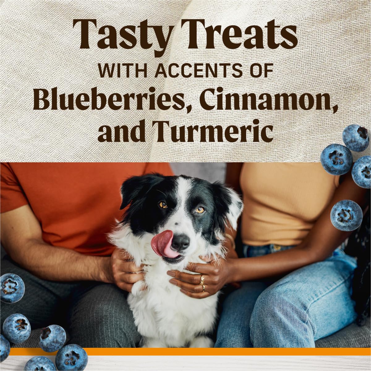 Healthy Bites Grain Free Dog Treats, Soft Treats With Bone Broth for Dogs, Chicken And Bone Broth Recipe - 16 oz. Pouch