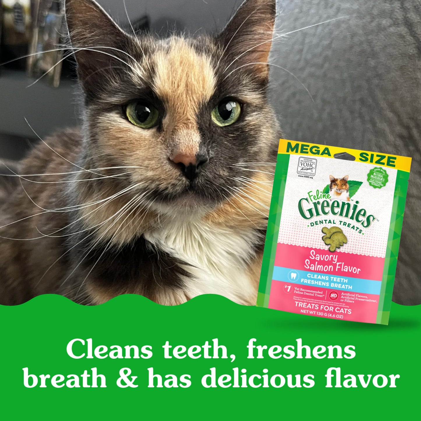FELINE GREENIES Dental Treats, Salmon Flavor, Mega size 4.6 oz