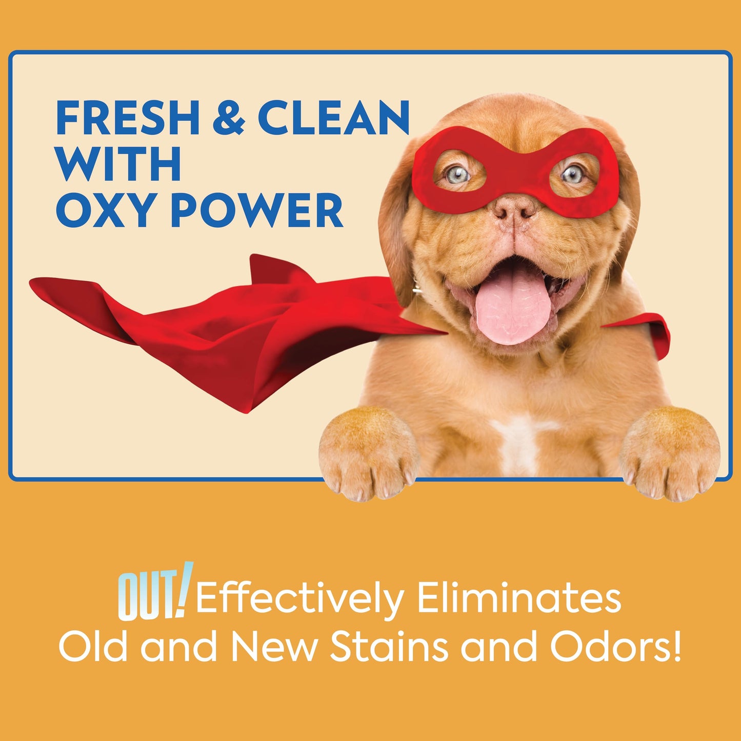 OUT! PetCare Complete Oxy Stain Remover, Oxy Orange Spray, Pet Stain and Odor Eliminator, Carpet Cleaner, Dog Urine Remover and Pet Odor Neutralizer, Upholstery Cleaner, 32 fl oz