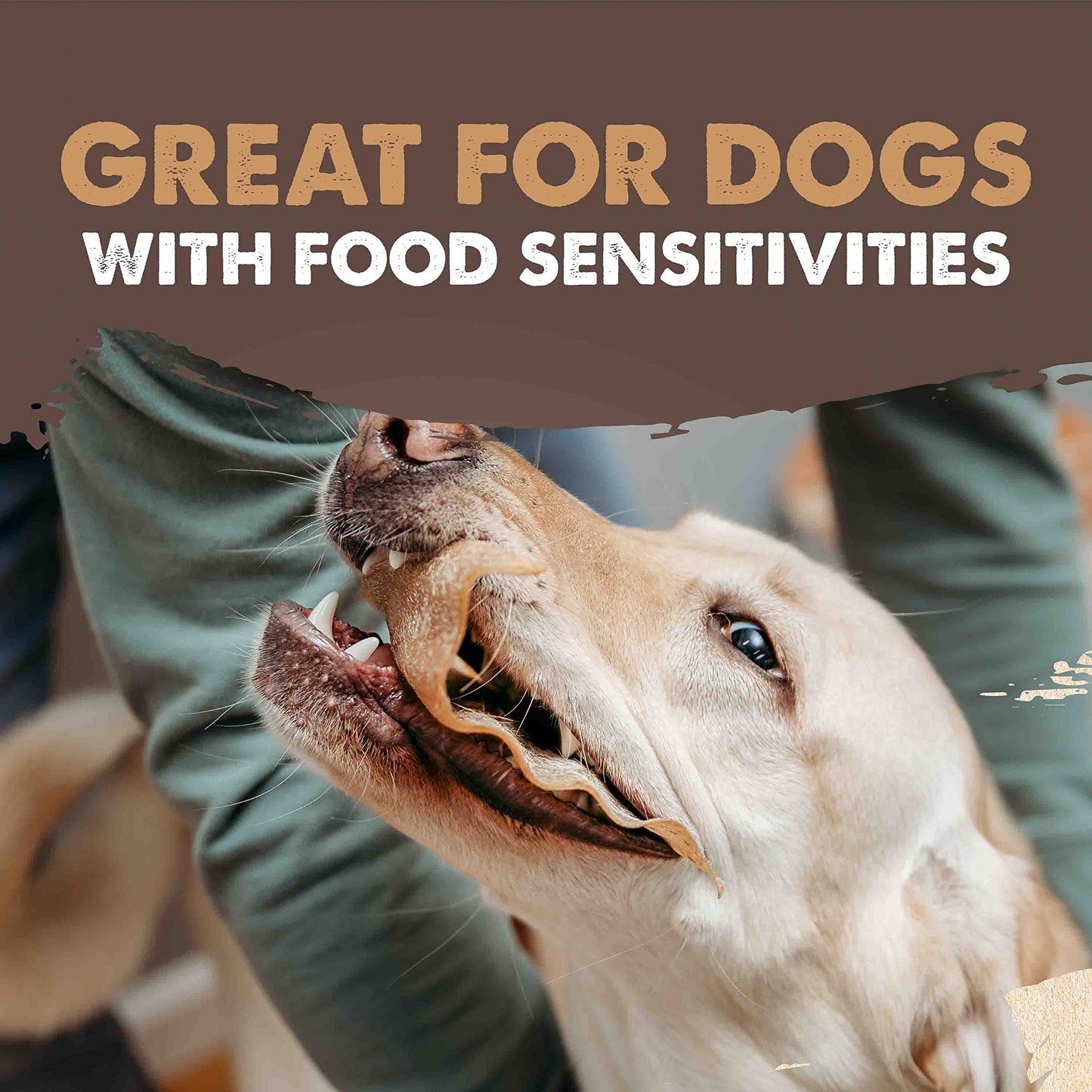 Mighty Paw 100% Natural Unbleached Cow Ears for Dogs - Single Ingredient - Cows Ears for Dogs Chew Treats Suitable for Small, Medium & Large Breeds - Pet Chews (12 Pack)