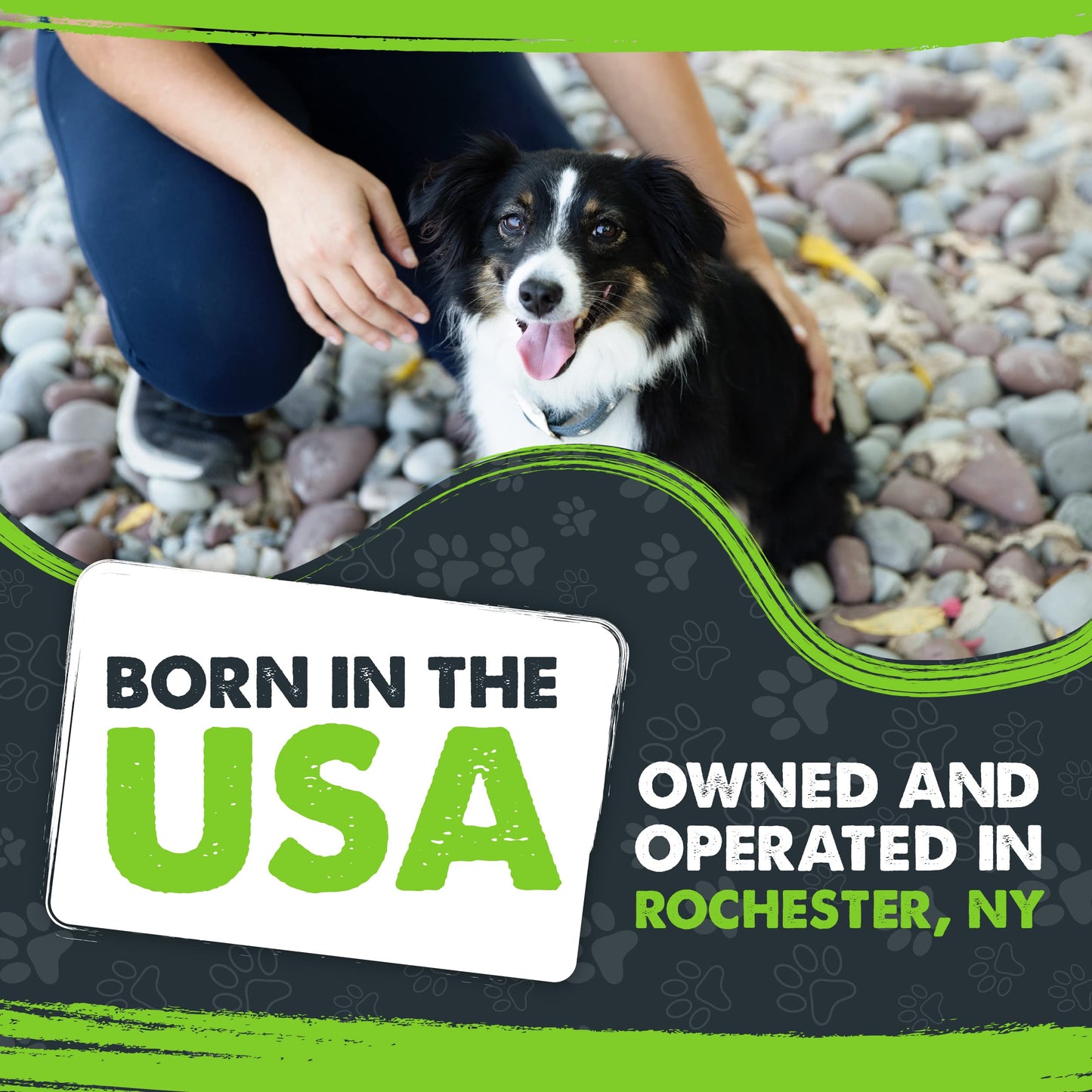 Mighty Paw Ultra Soft Dog Collar - Ultimate Comfort with Super Soft Neoprene Padding for Large and Small Dogs - Stay Safe and Visible with Reflective Threading - Fun in All Climates
