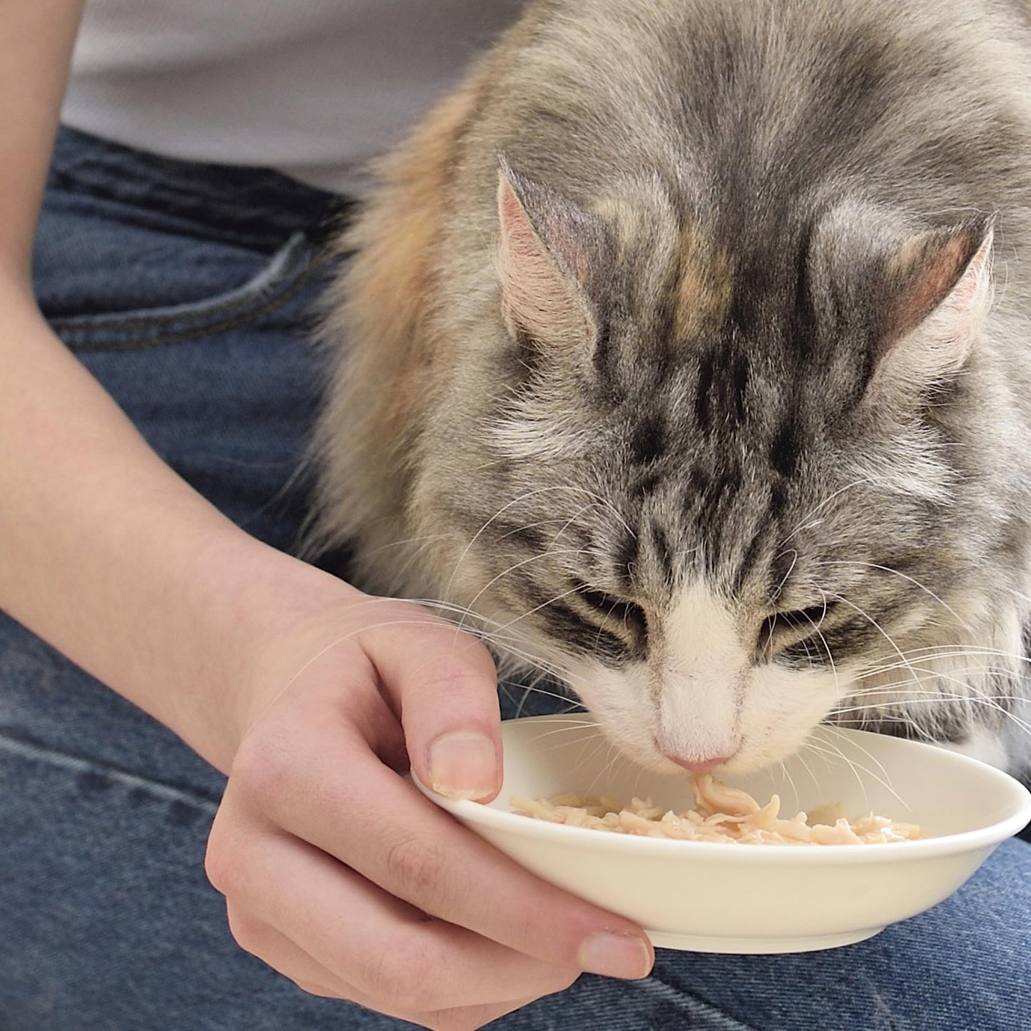INABA Chicken Stew Side Dish/Complement/Dry Cat Food Topper/Treat for Cats with Vitamin E, Eight 1.4 Ounce Pouches