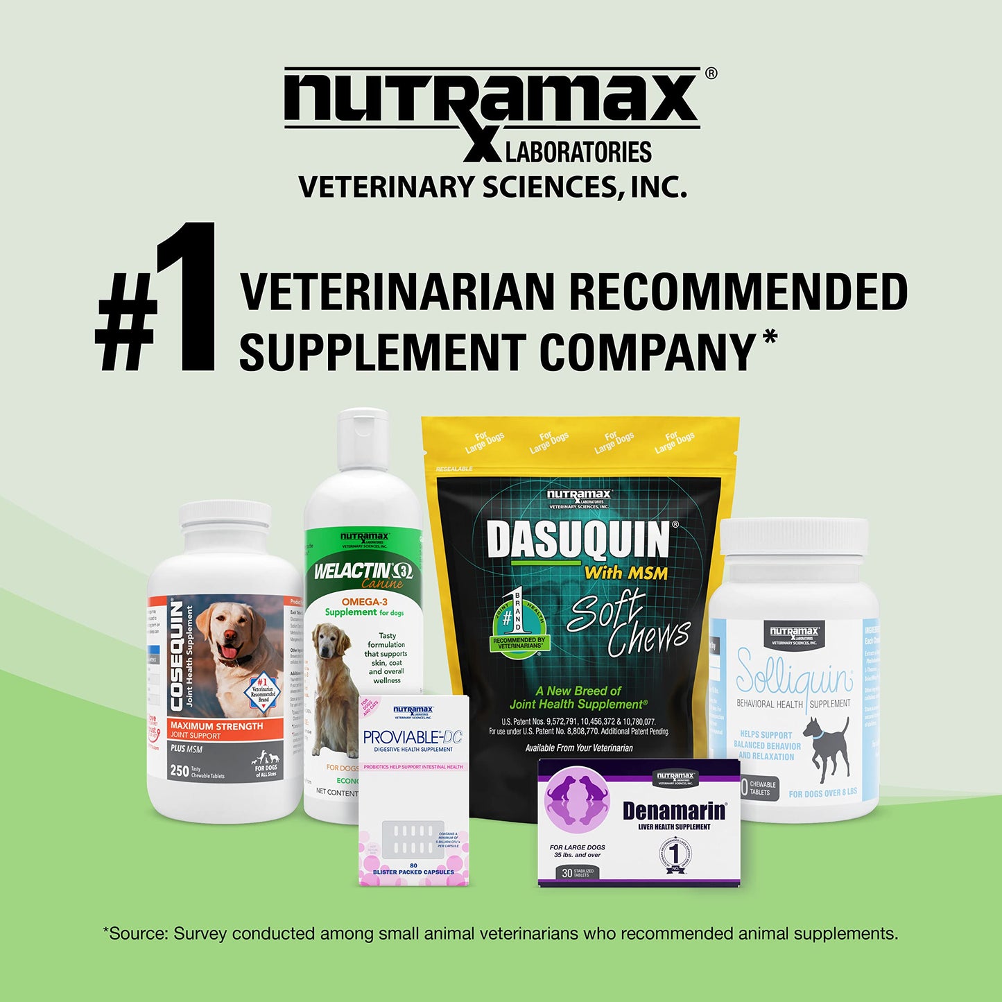 Nutramax Laboratories Denosyl Liver and Brain Health Supplement for Large Dogs, With S-Adenosylmethionine (SAMe), 30 Tablets