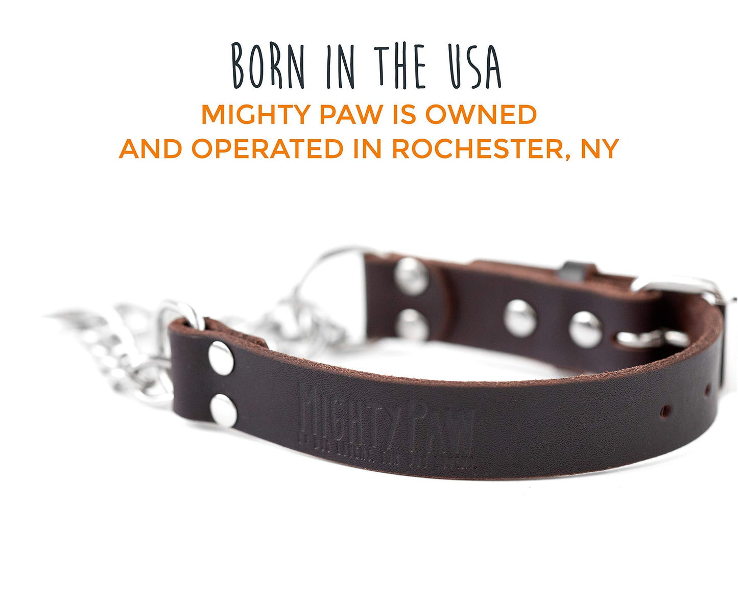 Mighty Paw Martingale Dog Collar - No Pull Design - Stainless Steel Chain - Limited Chain Cinch Training - Brown Leather Martingale Training Collar - Small Size