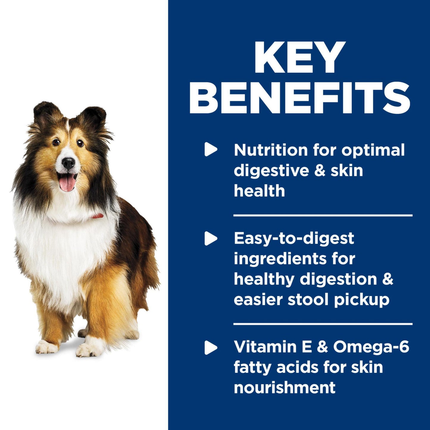 Hill's Science Diet Sensitive Stomach & Skin, Adult 1-6, Stomach & Skin Sensitivity support, Wet Dog Food, Turkey & Rice Stew, 12.5 oz Can, Case of 12