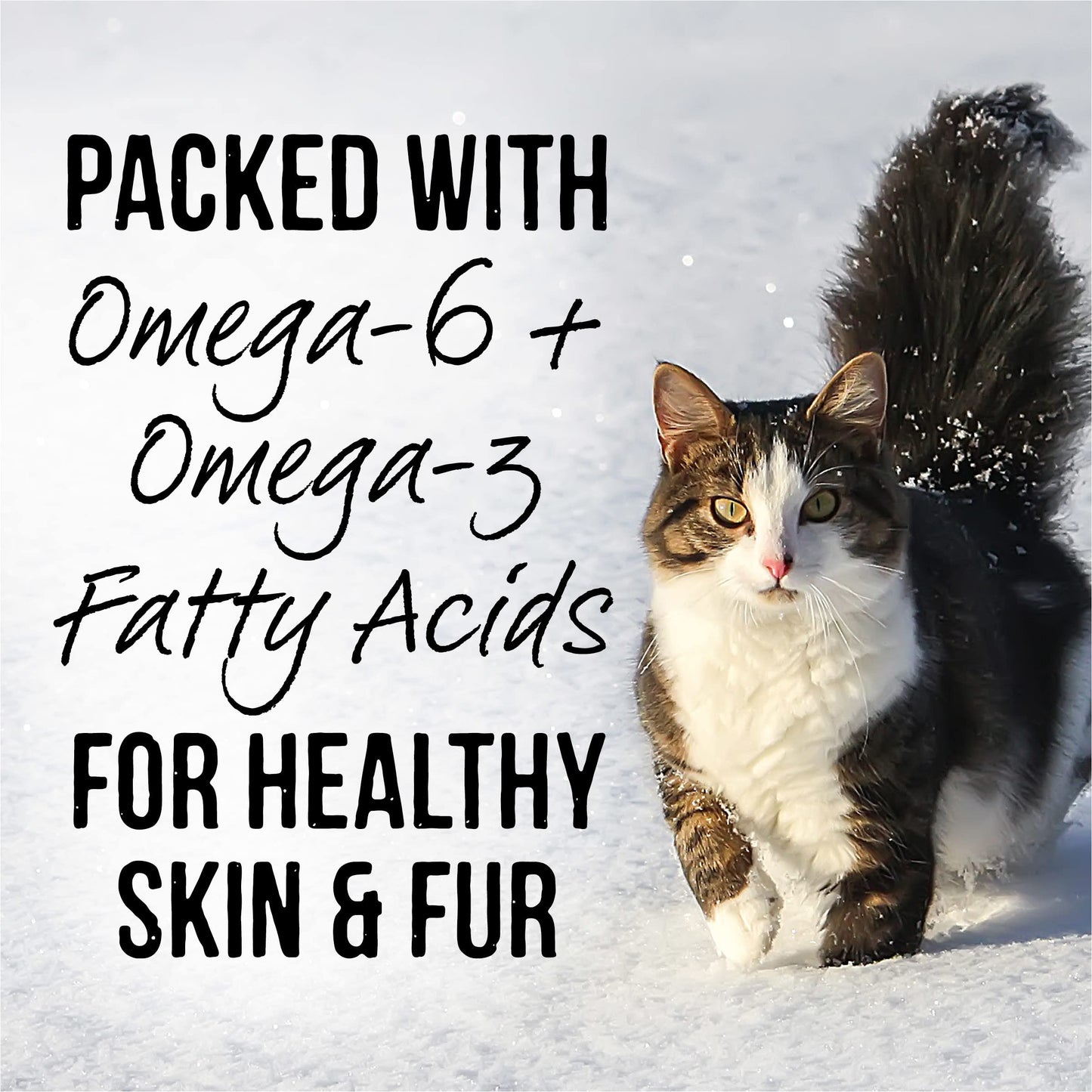 Merrick Backcountry Grain Free Gluten Free Premium Wet Cat Food Variety Pack, Poultry Recipes Cuts with Gravy - (Pack of 12) 2 lb. Pouches