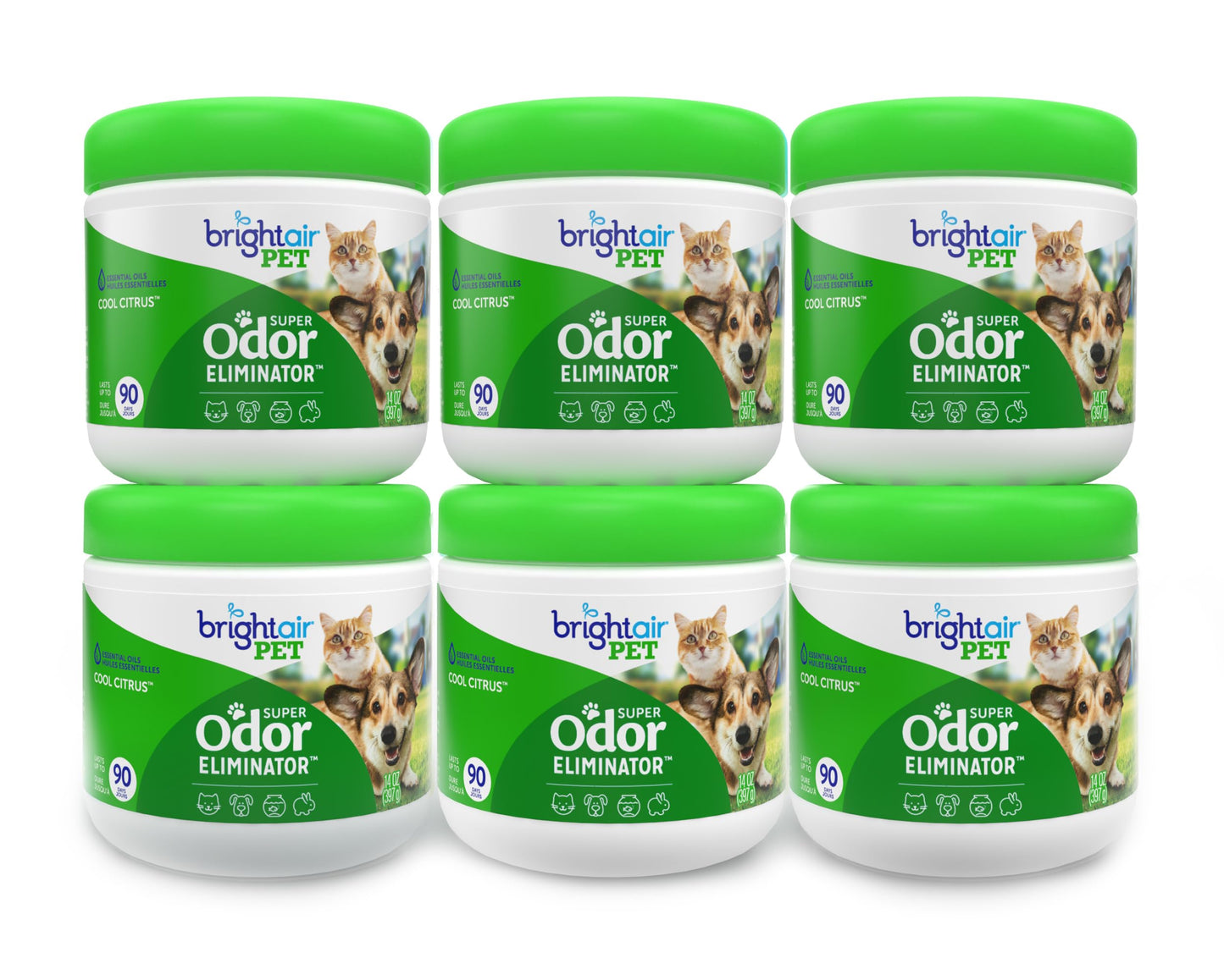 Bright Air 14 oz. Super Odor Eliminator, for Medium-Size Spaces, Cool Citrus Scent, Case of 6, Air Freshener, Natural Essential Oils, Lasts Up to 90 Days Each