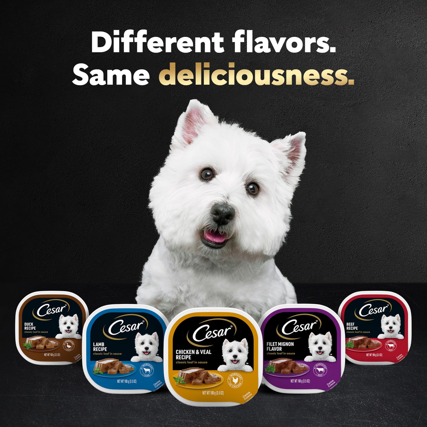 Cesar Wet Dog Food Steak Lovers Variety Pack with Real Meat, 3.5 oz. Trays (36 Count, Pack of 1)