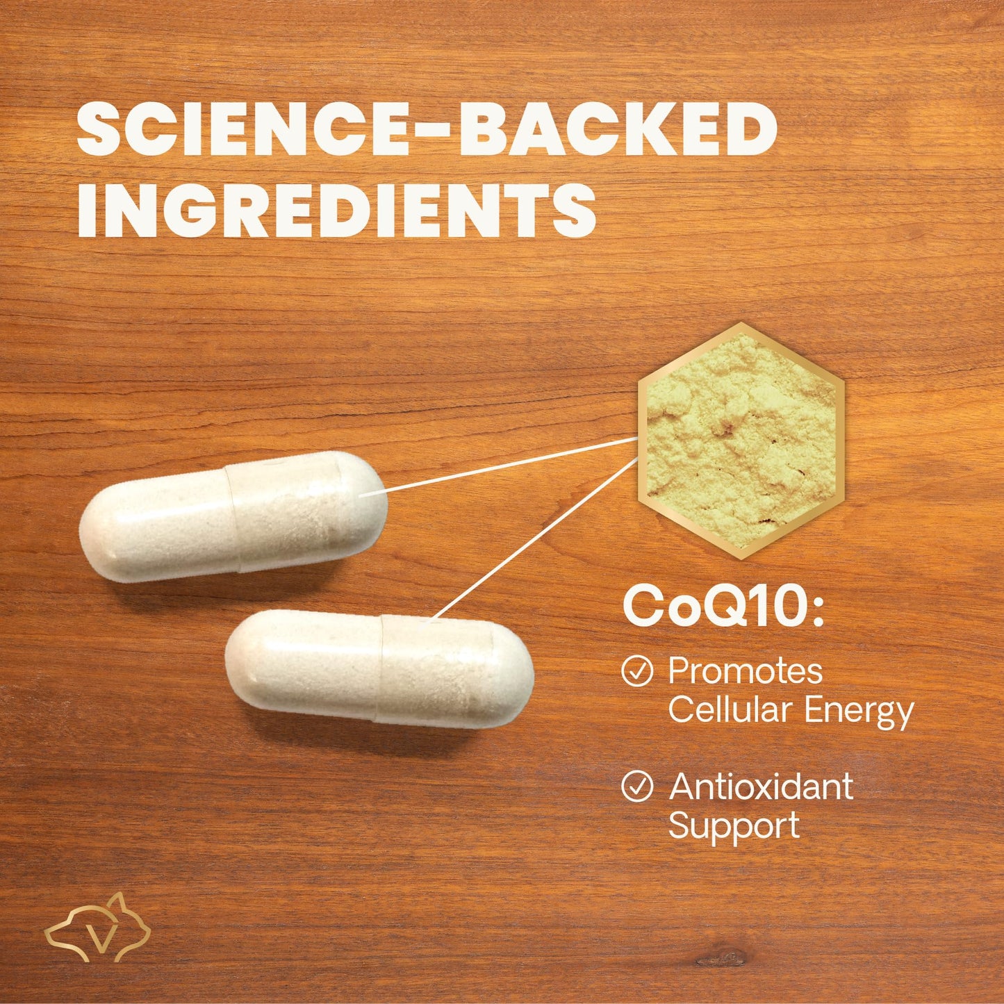 VetriScience CoQ10 Healthy Heart Easy-Open Capsules, 10mg Coenzyme Q10 Cardio and Healthy Aging Supplement for Dogs and Cats, Heart Support Supplement, 100 Count