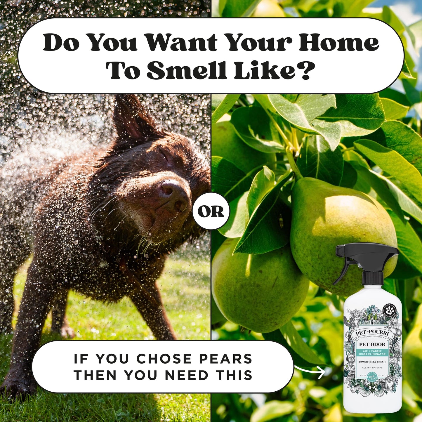 Poo-Pourri Pawsitively Fresh Pet Deodorizer Candle – Pet Safe Plant Based Ingredients & Wax – Vet Approved – Aromatherapy & Air Freshener for Pet Odor – Scented with Pineapple, Jasmine, & Pear