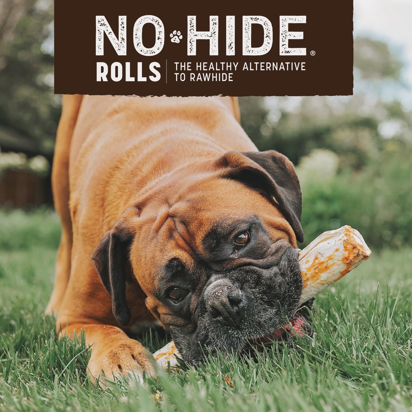 Earth Animal No Hide Large Beef Flavored Natural Rawhide Free Dog Chews Long Lasting Chew Sticks | Treats for Large Dogs | Great for Aggressive Chewers, 7 oz