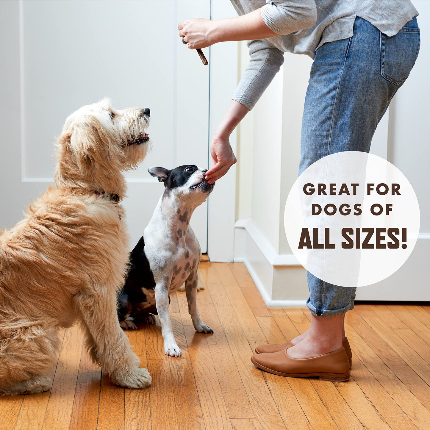 Rocco & Roxie - Jerky Dog Treats Made in USA – Puppy Supplies - Healthy Treats for Potty Training - High Value Real Meat Slow Roasted Snacks for Small, Medium and Large Dogs and Puppies - Soft Chews