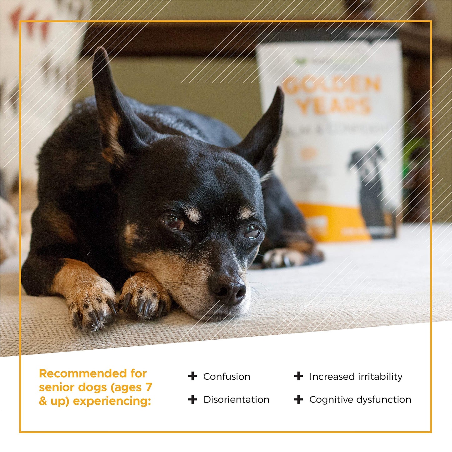 VetriScience Senior Calm & Confident Soft Chews with Colostrum and L-Theanine, Golden Years Calming, Cognition and Brain Health, Sundowners Supplement for Senior Dogs, Chicken, 60 Count