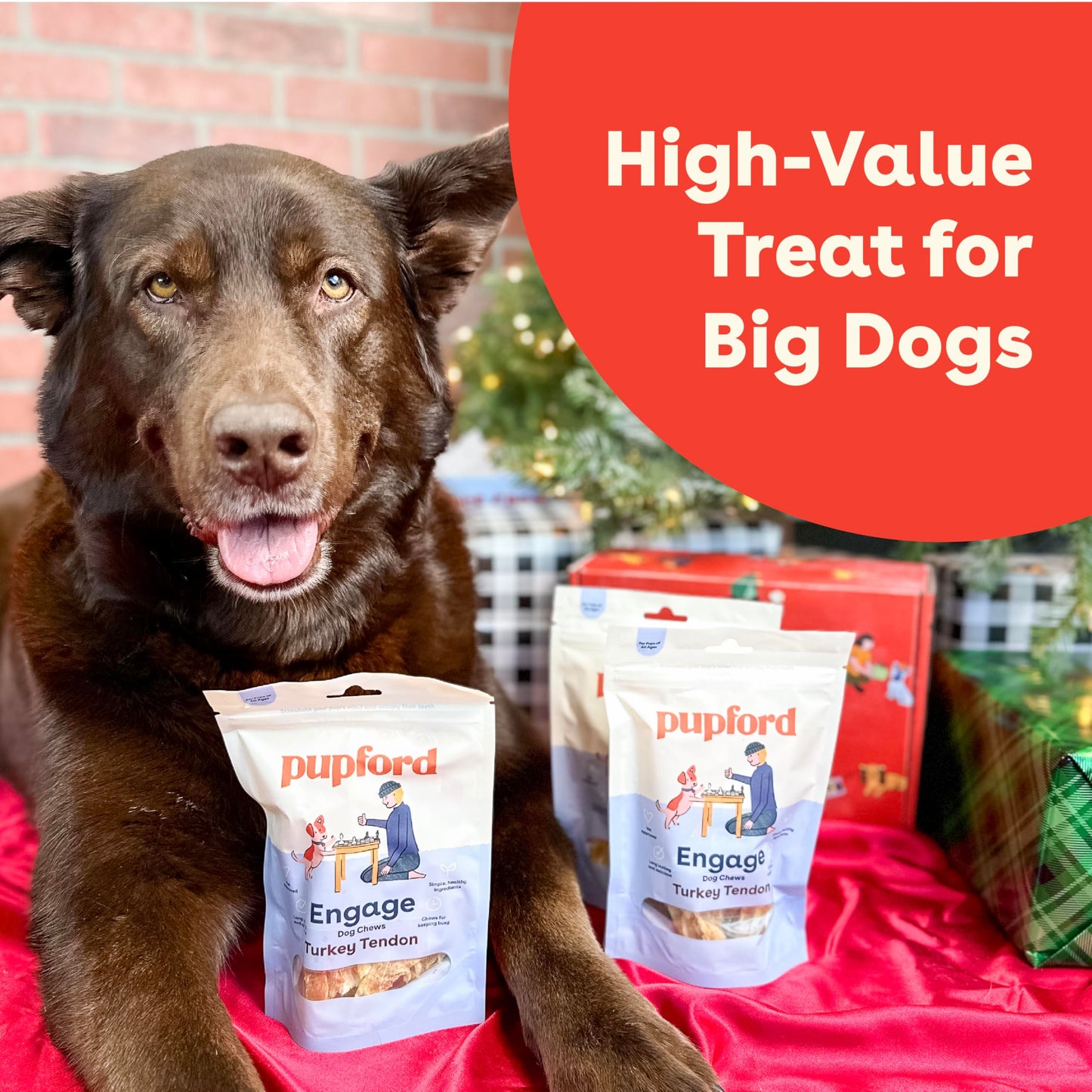 Pupford Turkey Tendon Dog Treats, High-Protein Chews for Healthy Teeth & Joints, Single Ingredient, Grain-Free, Made in USA (2.5 oz)