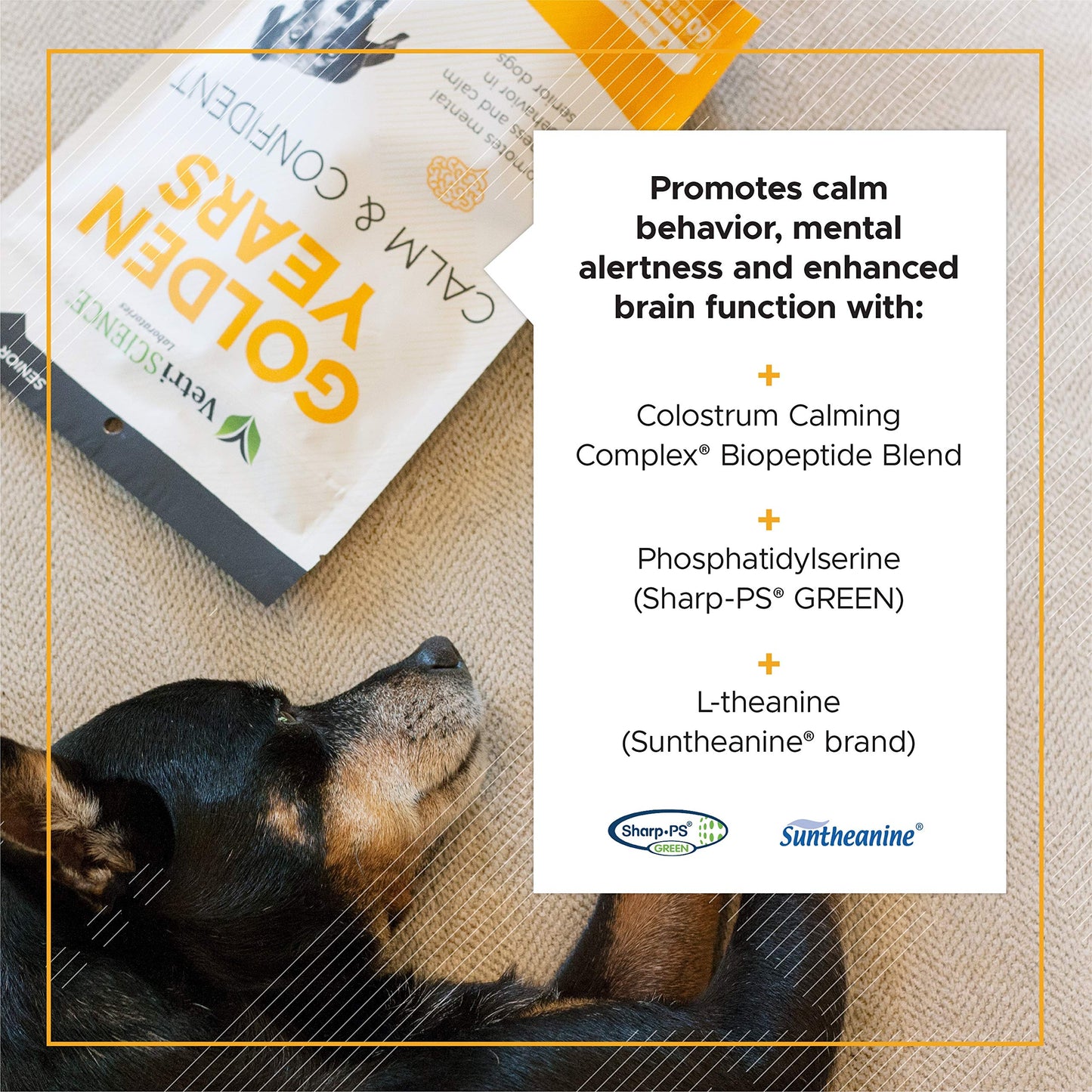 VetriScience Senior Calm & Confident Soft Chews with Colostrum and L-Theanine, Golden Years Calming, Cognition and Brain Health, Sundowners Supplement for Senior Dogs, Chicken, 60 Count