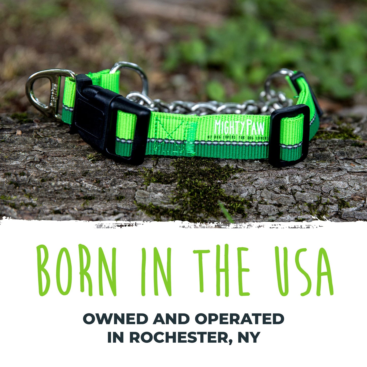 Mighty Paw Martingale Dog Collar 2.0 | Trainer Approved Limited Slip Collar with Stainless Steel Chain & Heavy Duty Buckle - Modified Cinch for Gentle & Effective Pet Training - S/M, Green