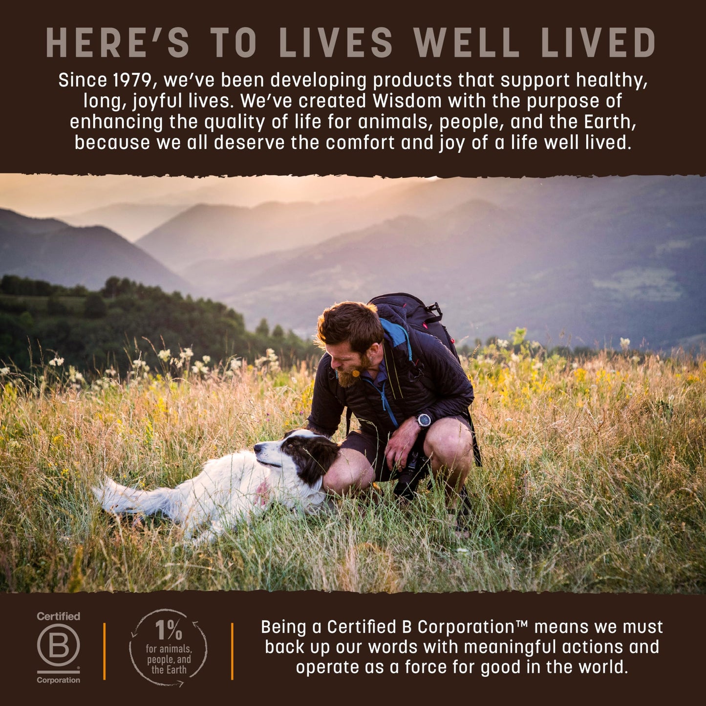 Earth Animal Wisdom Air Dried Dog Food | Chicken Recipe Premium Natural Dog Food | All Breeds & Ages | Made in The USA | 2 Pound Bag