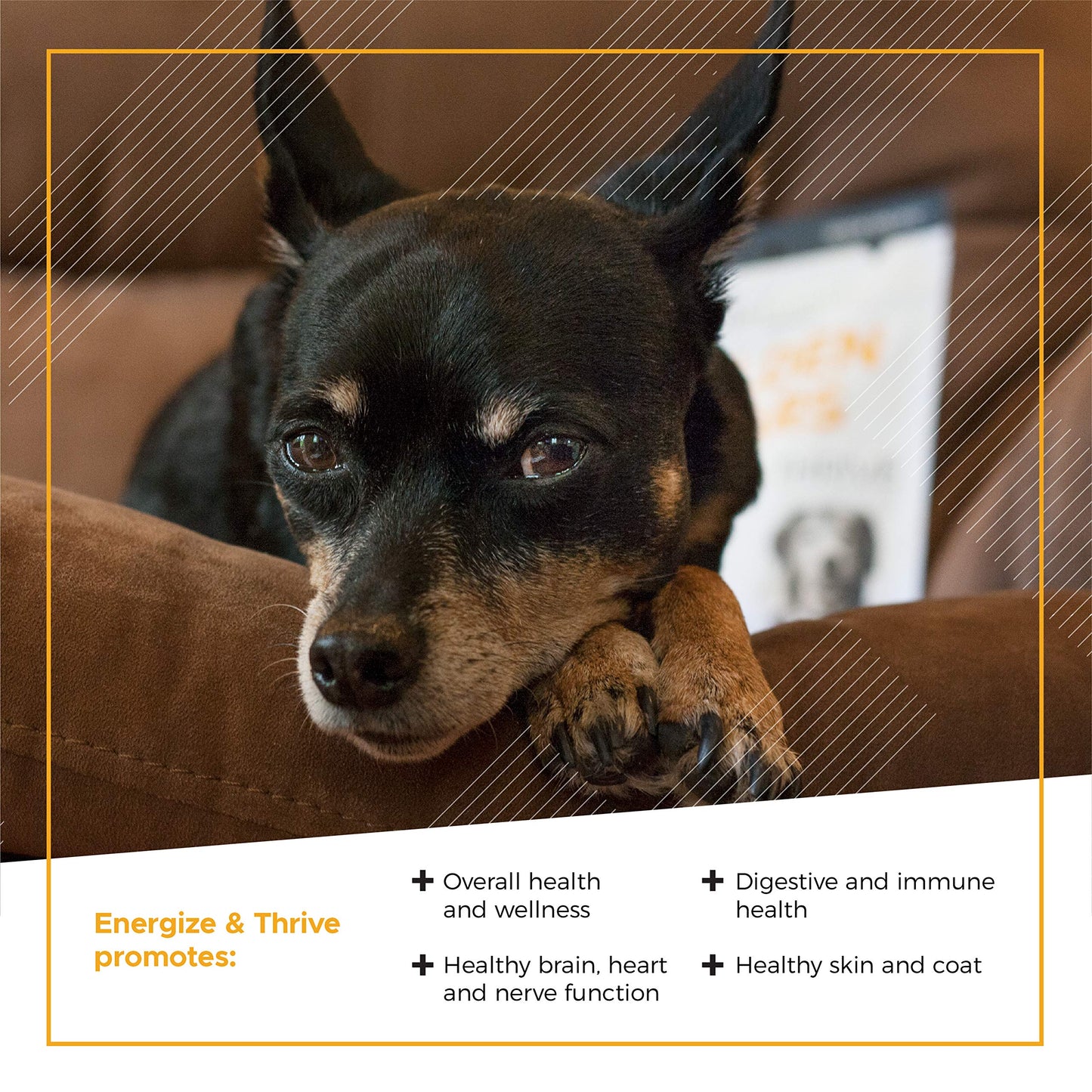 VetriScience Extra Strength Senior 27+ Active Health Chews, Golden Years Daily Multivitamin for Senior Dogs, Balanced Vitamins, Minerals, and Omega-3s, Aging and Wellness Support, Chicken, 60 Count