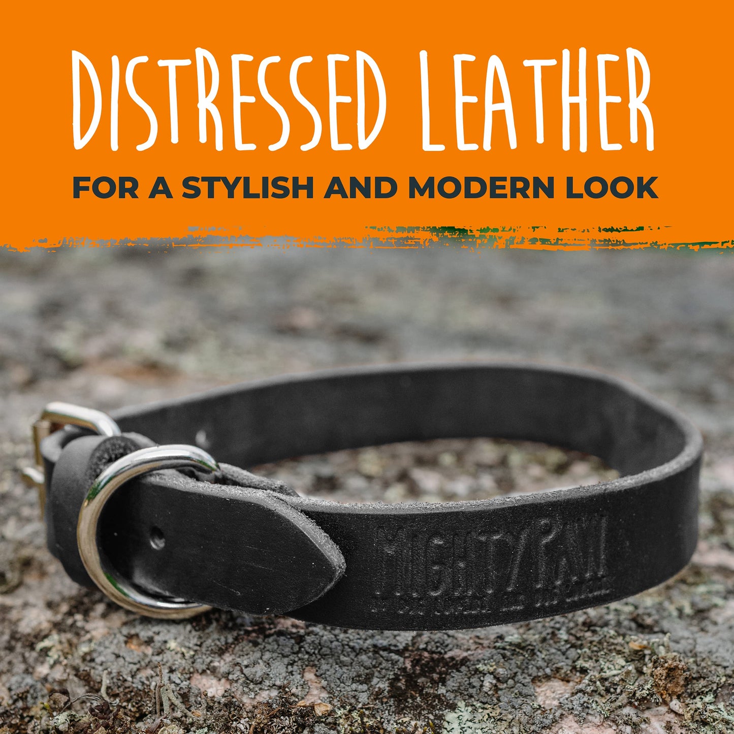 Mighty Paw Leather Dog Collar - Genuine Distressed Leather - Strong Metal Buckle - Ultimate Comfort - Modern Style for All Dogs Breeds - Comfort Puppy Collar - (Small - Black)