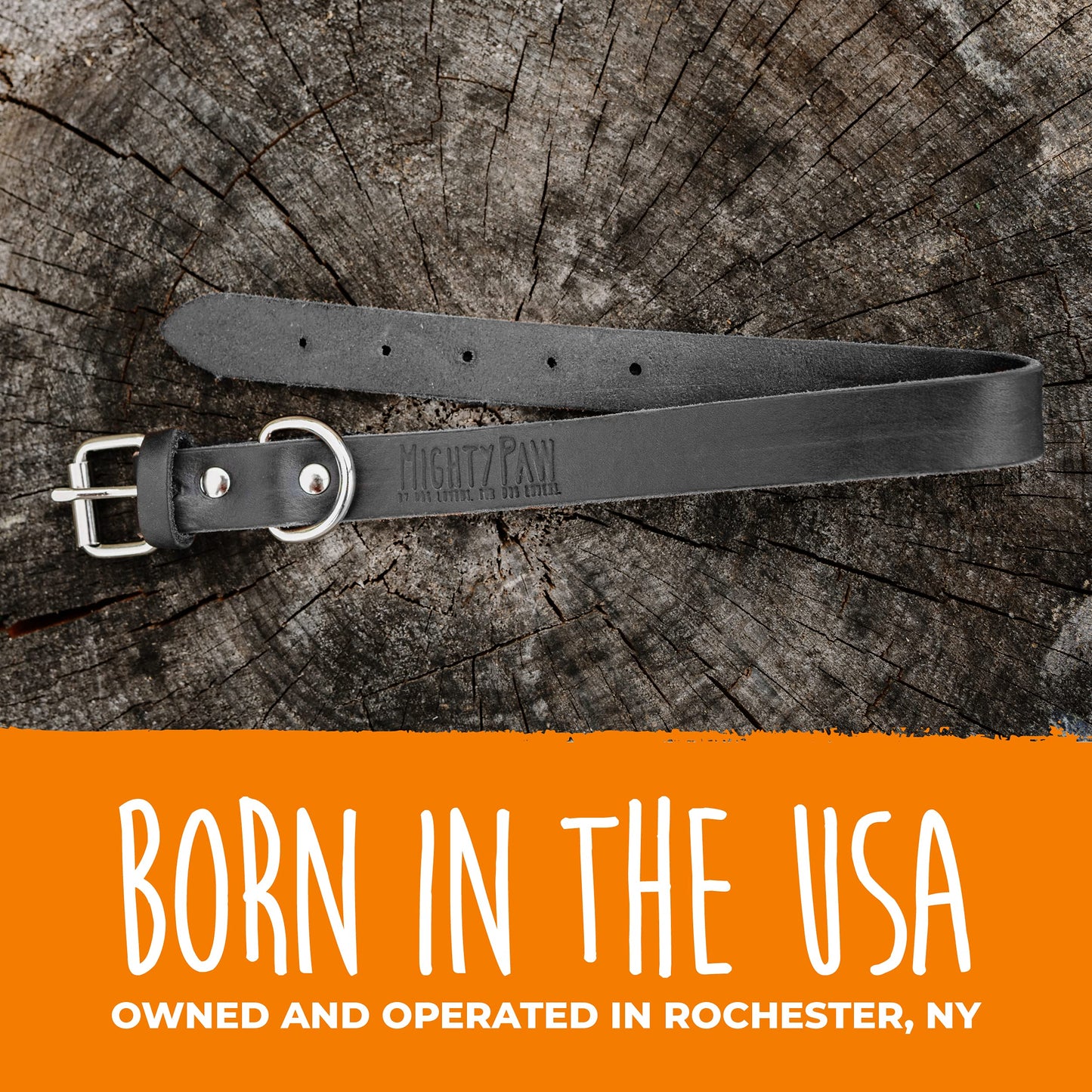 Mighty Paw Leather Dog Collar - Genuine Distressed Leather - Strong Metal Buckle - Ultimate Comfort - Modern Style for All Dogs Breeds - Comfort Puppy Collar - (Small - Black)