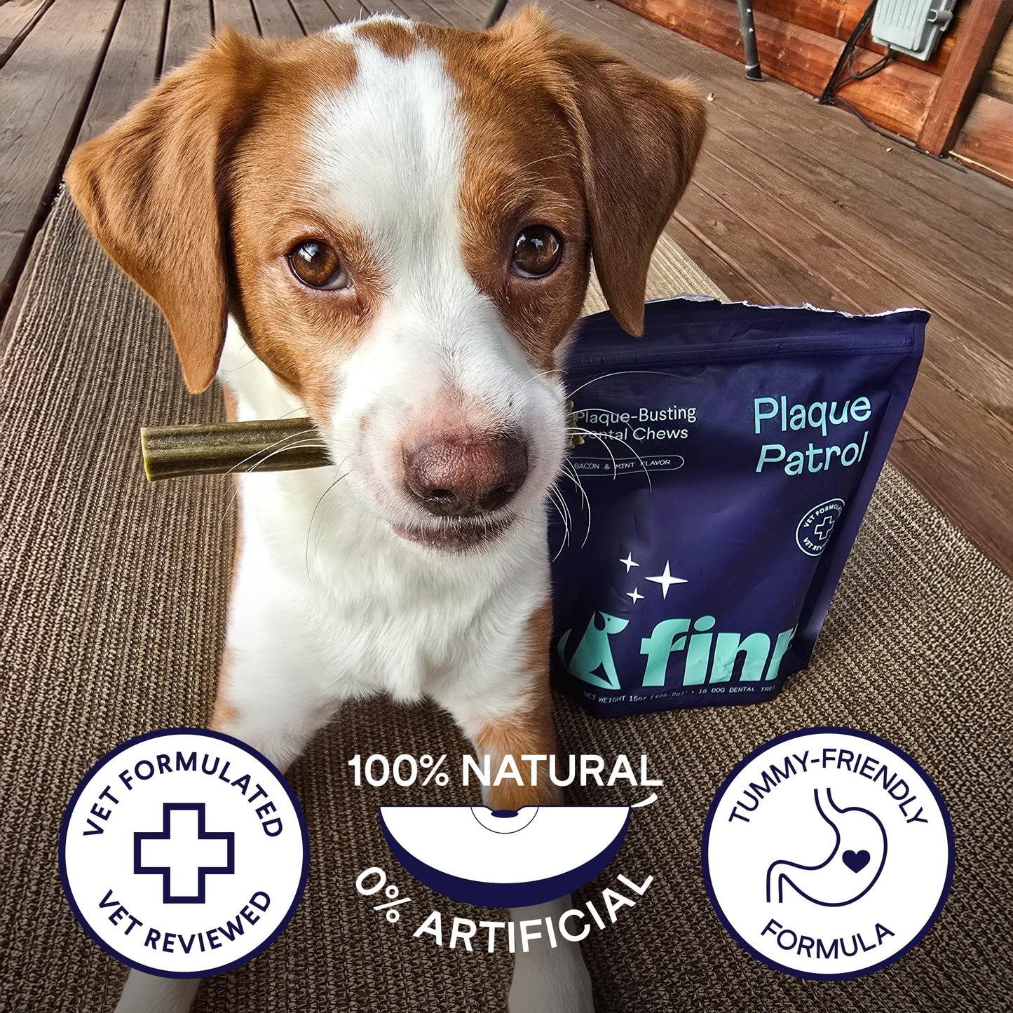 Finn Plaque Patrol Dental Chews (XS/S Dogs (20 Count))