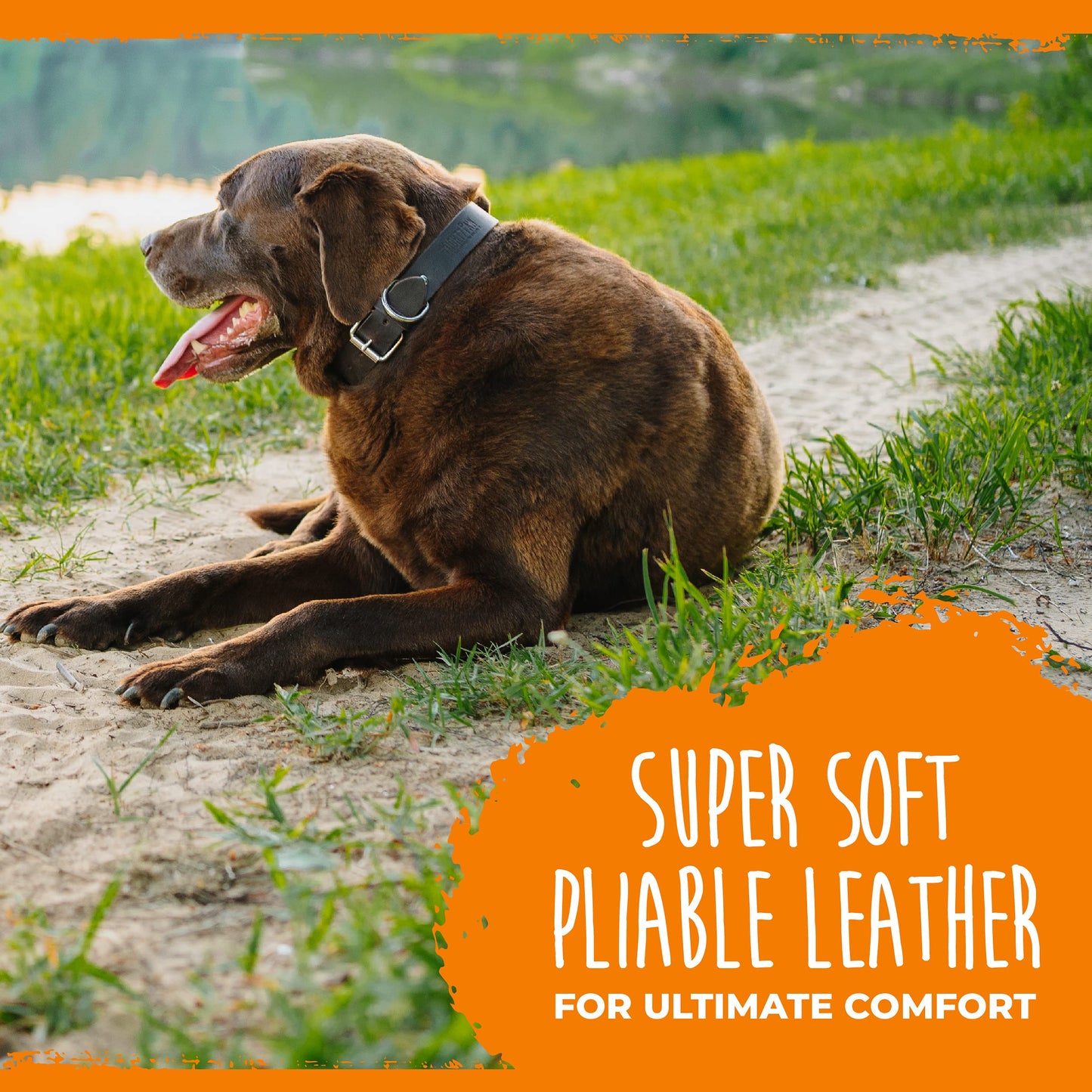 Mighty Paw Leather Dog Collar - Genuine Distressed Leather - Strong Metal Buckle - Ultimate Comfort - Modern Style for All Dogs Breeds - Comfort Puppy Collar - (Small - Brown)