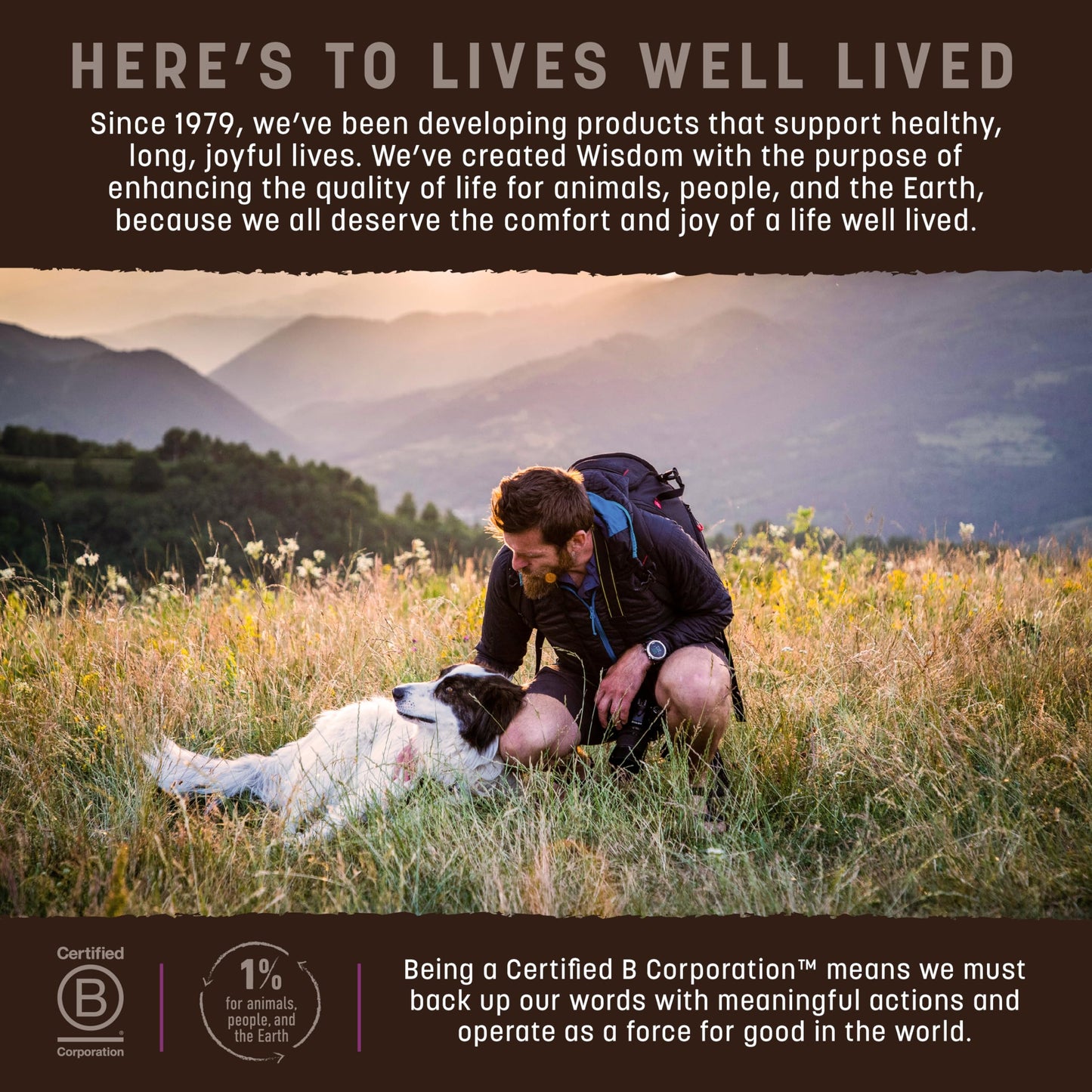 Earth Animal Wisdom Air Dried Dog Food | Turkey Recipe Premium Natural Dog Food | All Breeds & Ages | Made in The USA | 2 Pound Bag