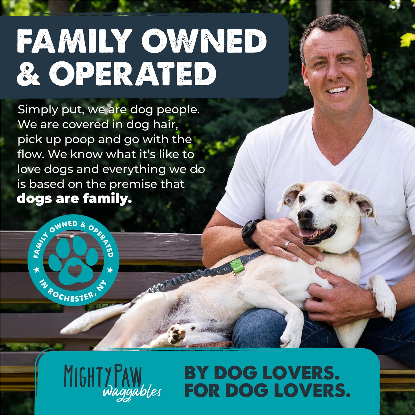 Mighty Paw Waggables Mighty Omega (Made in The USA, 120 Count) | Omega 3 Fish Oil Chew for Dogs. Salmon Flavor Skin and Coat Supplement. Soft Chew Fish Oil for Dogs - DHA & EPA, Bacon Flavor