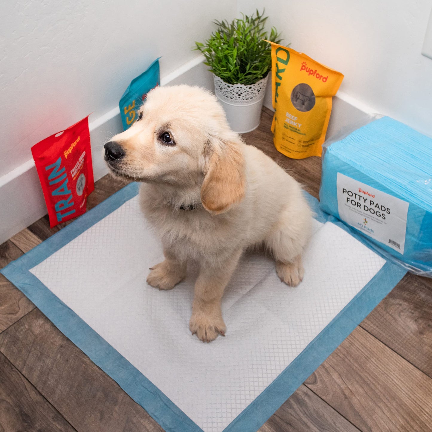 Pupford Potty Pads for Dogs & Puppies – Leak-Proof Pet Potty Training Pads | 40 Count | Heavy-Duty, Thick, Disposable, Made with Super Absorbent Polymer | 22x22 in