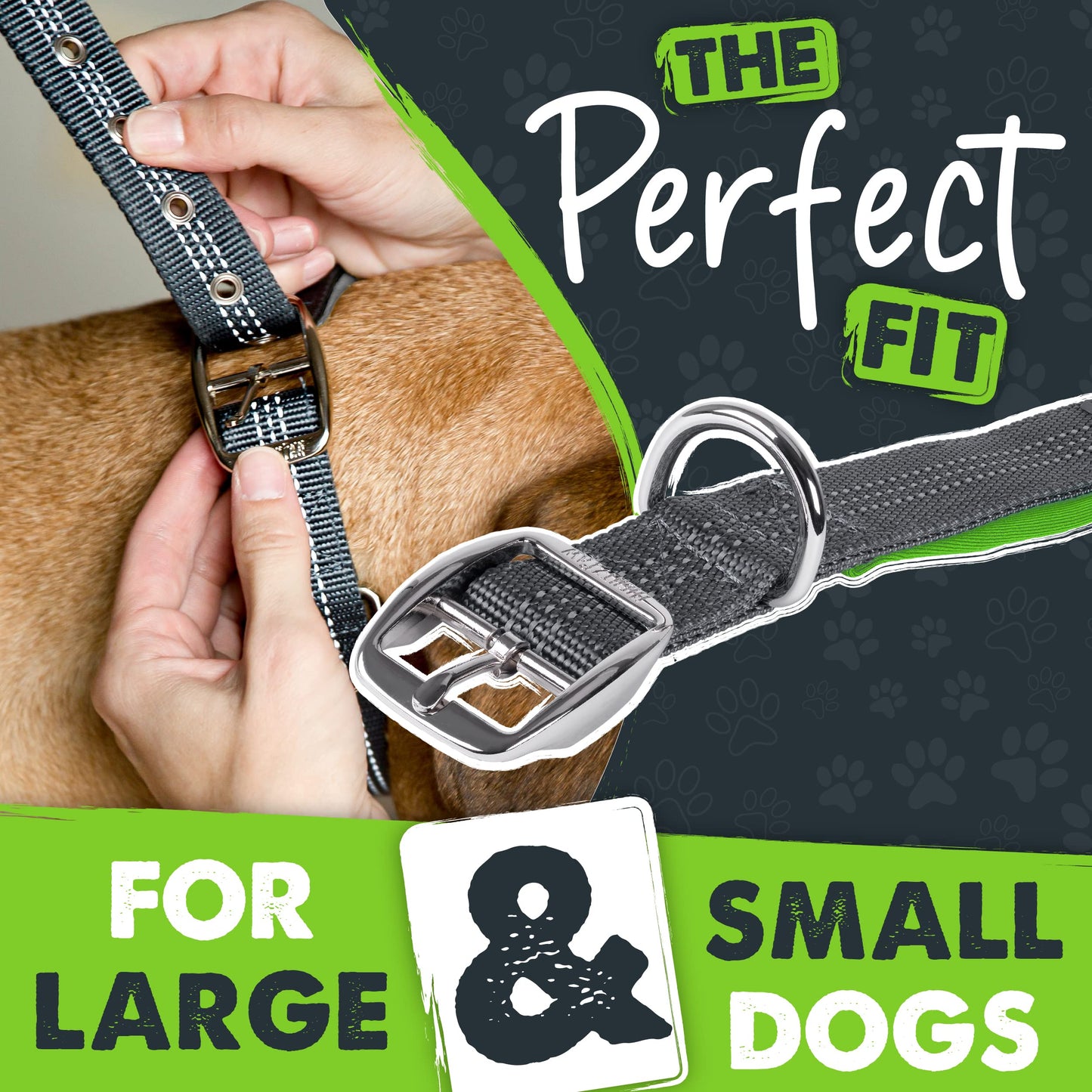Mighty Paw Ultra Soft Dog Collar - Ultimate Comfort with Super Soft Neoprene Padding for Large and Small Dogs - Stay Safe and Visible with Reflective Threading - Fun in All Climates