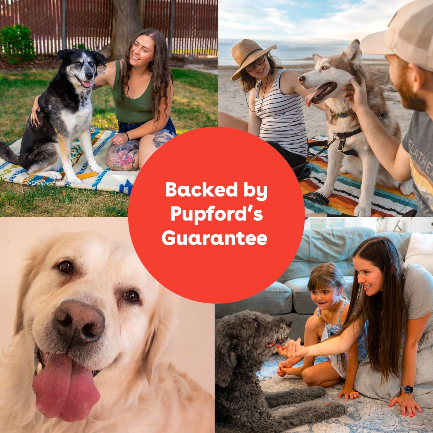 Pupford Yak Cheese Chews for Dogs & Teething Puppies, Natural, Long-Lasting Himalayan Dental Treats (3 Pack Medium)