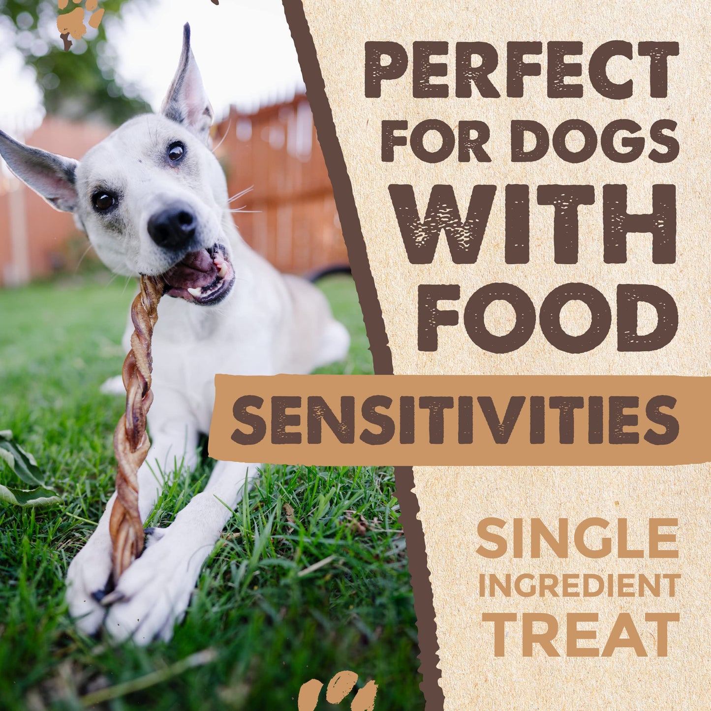 Mighty Paw Braided Bully Sticks for Large Dogs (5 Pack) | Large Bully Sticks. Best Dog Bully Sticks for Medium Dogs. Twisted Treats for All Breeds. Odor Free Bully Sticks. Thick 12” & 6” Variety Pack