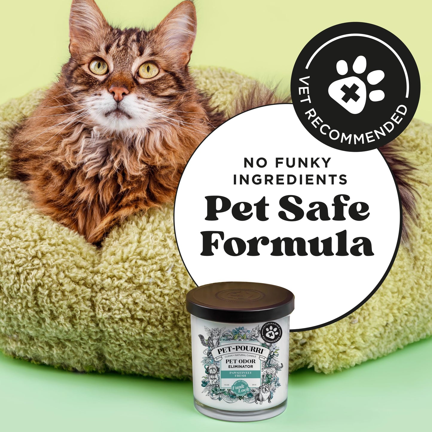 Poo-Pourri Pawsitively Fresh Pet Deodorizer Candle – Pet Safe Plant Based Ingredients & Wax – Vet Approved – Aromatherapy & Air Freshener for Pet Odor – Scented with Pineapple, Jasmine, & Pear