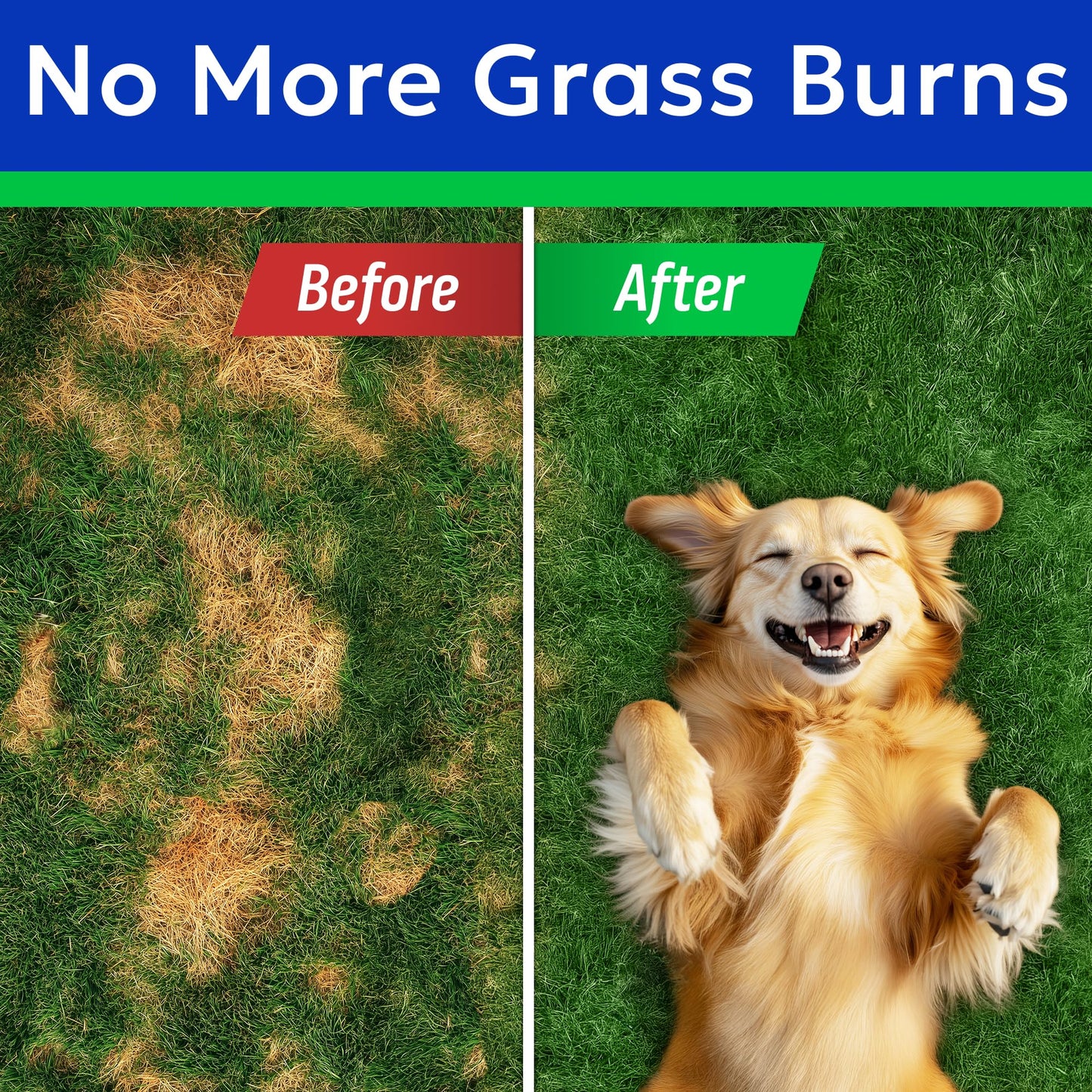 BARK&SPARK Green Grass Chews - Pee Grass Spot Saver Caused by Dog Urine - Urine Neutralizer for Lawn, Gut Health Probiotics & Digestive Enzymes,Lawn Burn from Dog Urine, Grass Burn Spot Chews, Rocks