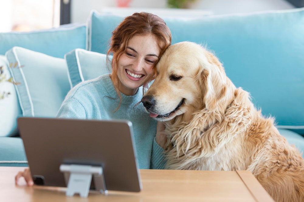 Pet Health Care Insurance 