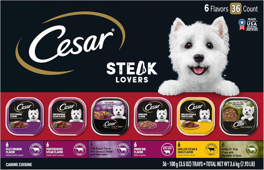 A Gourmet Feast for Dogs: Why Cesar Wet Dog Food Steak Lovers Variety Pack Delivers Love in Every Bite