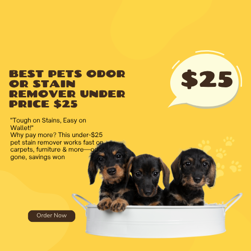 Best Pets Odor or Stain Remover under Price $25