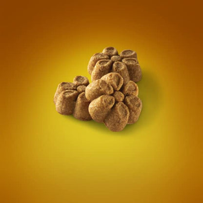 Fruitables Baked Dog Treats, Healthy Pumpkin Treat for Dogs, Low Calorie & Delicious, Free of Wheat, Corn and Soy, Made in the USA, Pumpkin and Banana Flavor, 7oz