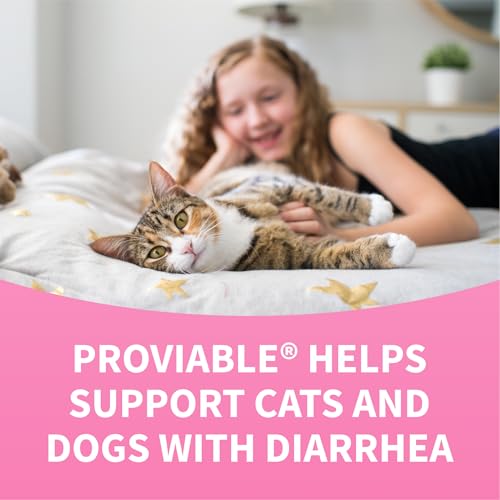 Nutramax Proviable Digestive Health Supplement Kit with Multi-Strain Probiotics and Prebiotics for Cats and Small Dogs, With 7-Strains of Bacteria, 15 mL Paste and 10 Capsules