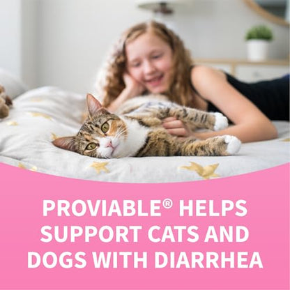 Nutramax Proviable Digestive Health Supplement Kit with Multi-Strain Probiotics and Prebiotics for Cats and Small Dogs, With 7-Strains of Bacteria, 15 mL Paste and 10 Capsules
